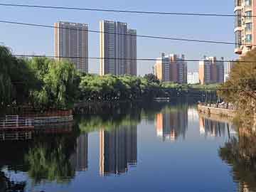 考研学习计划（大学生退役考研专项计划）